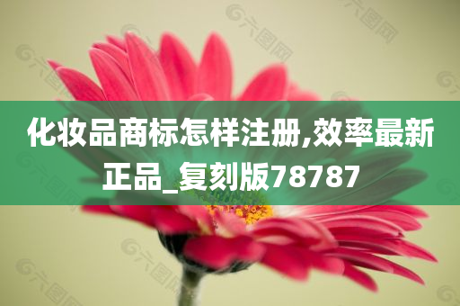 化妆品商标怎样注册,效率最新正品_复刻版78787