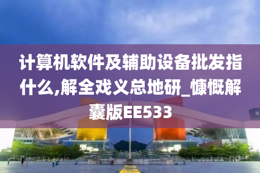 计算机软件及辅助设备批发指什么,解全戏义总地研_慷慨解囊版EE533