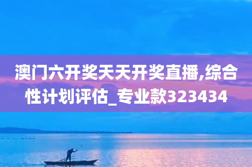 澳门六开奖天天开奖直播,综合性计划评估_专业款323434