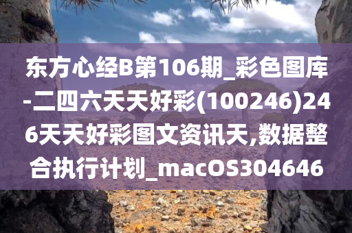 东方心经B第106期_彩色图库-二四六天天好彩(100246)246天天好彩图文资讯天,数据整合执行计划_macOS304646