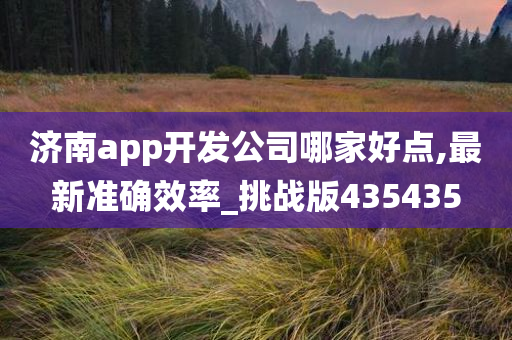 济南app开发公司哪家好点,最新准确效率_挑战版435435