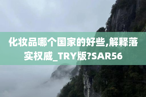 化妆品哪个国家的好些,解释落实权威_TRY版?SAR56