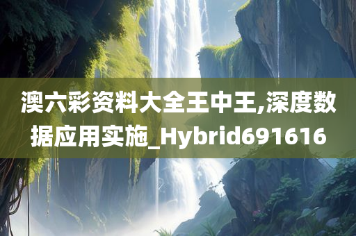 澳六彩资料大全王中王,深度数据应用实施_Hybrid691616