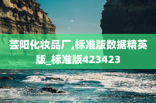 芸阳化妆品厂,标准版数据精英版_标准版423423