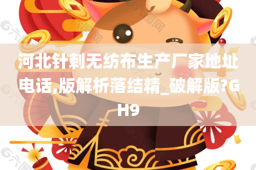 河北针刺无纺布生产厂家地址电话,版解析落结精_破解版?GH9