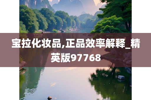 宝拉化妆品,正品效率解释_精英版97768