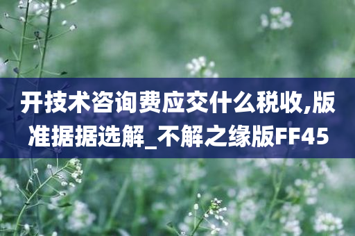 技术咨询费 第2页