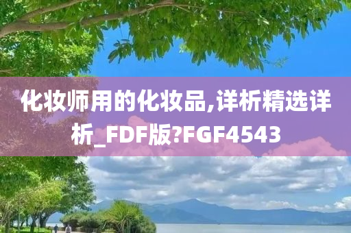 化妆师用的化妆品,详析精选详析_FDF版?FGF4543