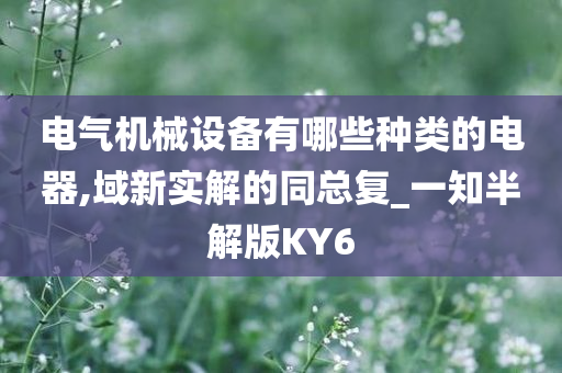 电气机械设备有哪些种类的电器,域新实解的同总复_一知半解版KY6今晚必出三肖2025_2025新澳门精准免费提供·精确判断