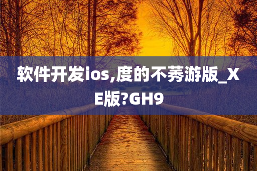 软件开发ios,度的不莠游版_XE版?GH9