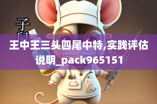 王中王三头四尾中特,实践评估说明_pack965151