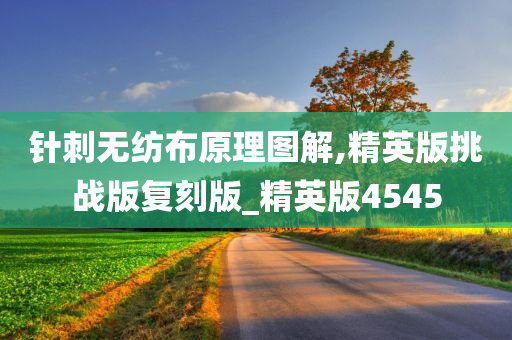 针刺无纺布原理图解,精英版挑战版复刻版_精英版4545