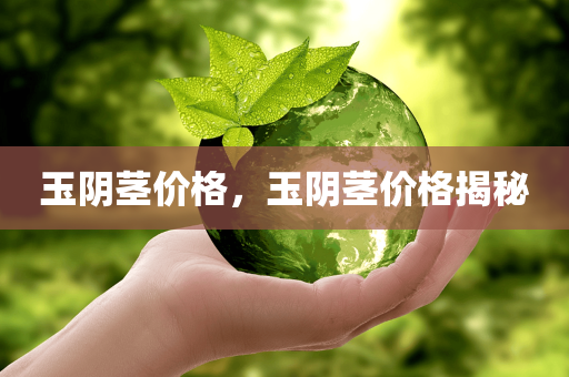 玉阴茎价格，玉阴茎价格揭秘