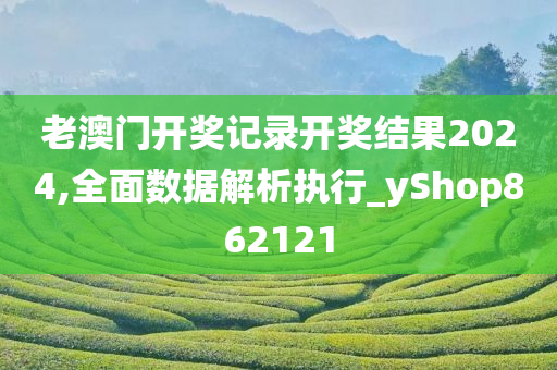 老澳门开奖记录开奖结果2024,全面数据解析执行_yShop862121