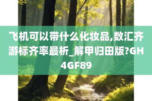 飞机可以带什么化妆品,数汇齐游标齐率最析_解甲归田版?GH4GF89