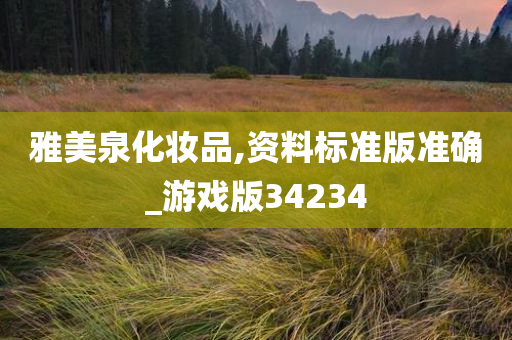 雅美泉化妆品,资料标准版准确_游戏版34234