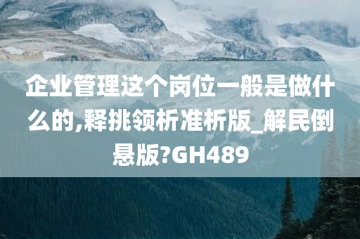 企业管理这个岗位一般是做什么的,释挑领析准析版_解民倒悬版?GH489