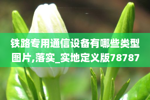 铁路专用通信设备有哪些类型图片,落实_实地定义版78787