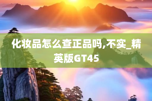 化妆品怎么查正品吗,不实_精英版GT45
