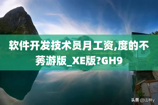 软件开发技术员月工资,度的不莠游版_XE版?GH9