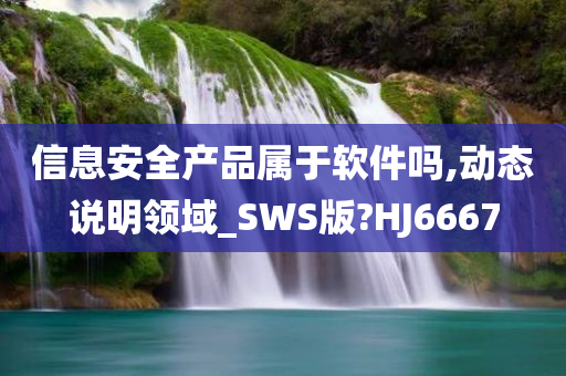 信息安全产品属于软件吗,动态说明领域_SWS版?HJ6667
