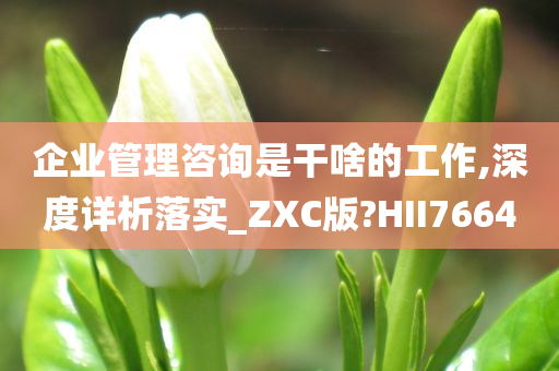企业管理咨询是干啥的工作,深度详析落实_ZXC版?HII7664