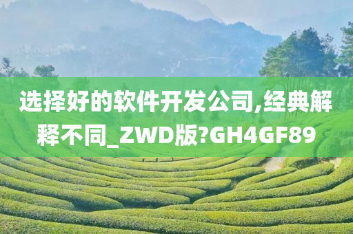 选择好的软件开发公司,经典解释不同_ZWD版?GH4GF89