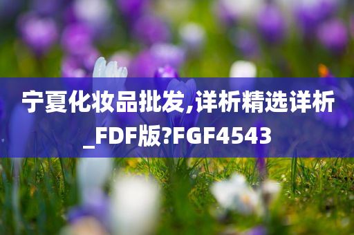 宁夏化妆品批发,详析精选详析_FDF版?FGF4543