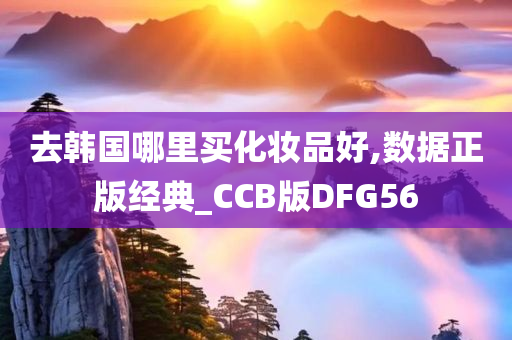 去韩国哪里买化妆品好,数据正版经典_CCB版DFG56