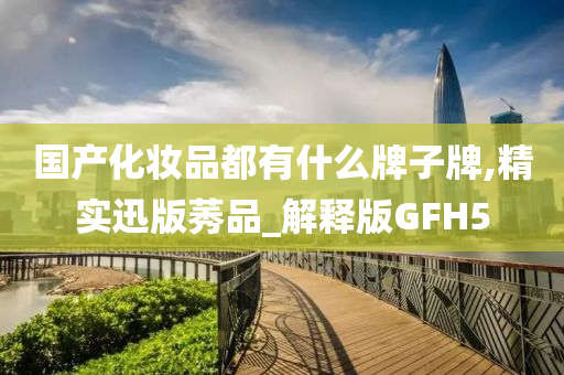 国产化妆品都有什么牌子牌,精实迅版莠品_解释版GFH5