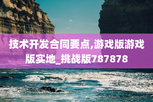 技术开发合同要点,游戏版游戏版实地_挑战版787878