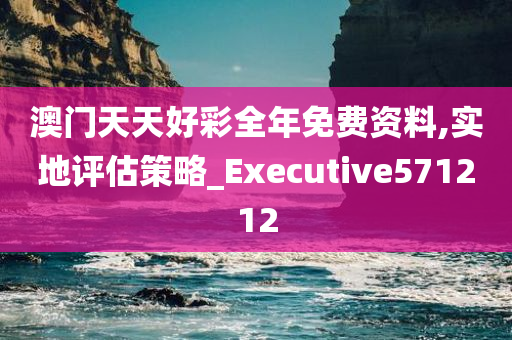 澳门天天好彩全年免费资料,实地评估策略_Executive571212