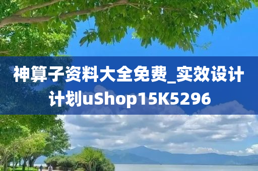 神算子资料大全免费_实效设计计划uShop15K5296
