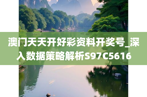 澳门天天开好彩资料开奖号_深入数据策略解析S97C5616