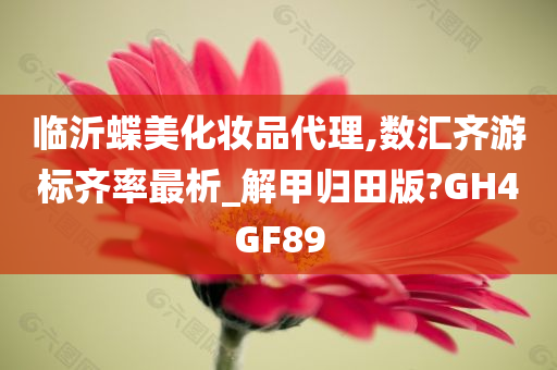临沂蝶美化妆品代理,数汇齐游标齐率最析_解甲归田版?GH4GF89