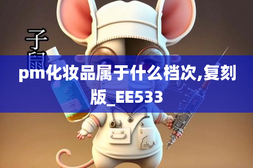 pm化妆品属于什么档次,复刻版_EE533