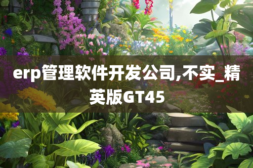 erp管理软件开发公司,不实_精英版GT45
