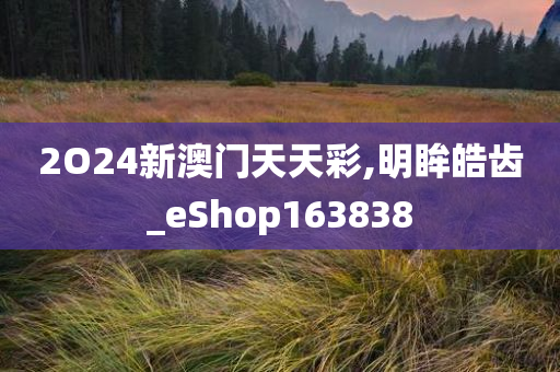 2O24新澳门天天彩,明眸皓齿_eShop163838