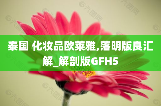 泰国 化妆品欧莱雅,落明版良汇解_解剖版GFH5