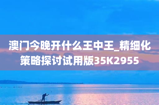 澳门今晚开什么王中王_精细化策略探讨试用版35K2955