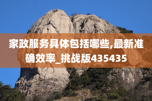 家政服务具体包括哪些,最新准确效率_挑战版435435