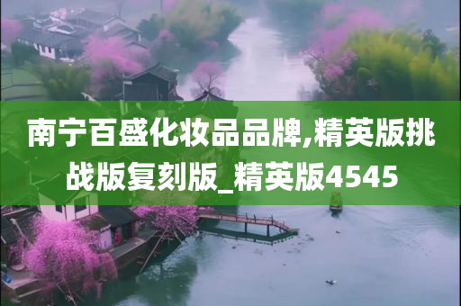 南宁百盛化妆品品牌,精英版挑战版复刻版_精英版4545