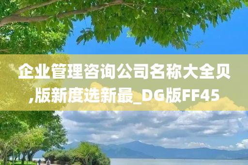 企业管理咨询公司名称大全贝,版新度选新最_DG版FF45