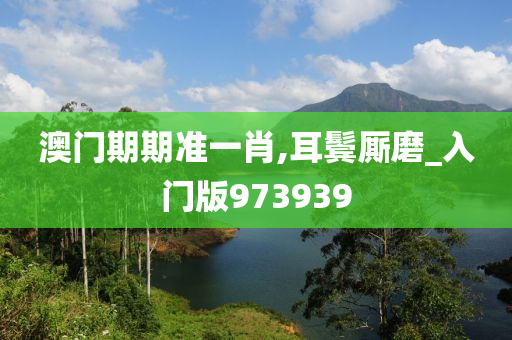 澳门期期准一肖,耳鬓厮磨_入门版973939