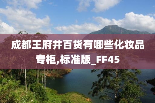 成都王府井百货有哪些化妆品专柜,标准版_FF45