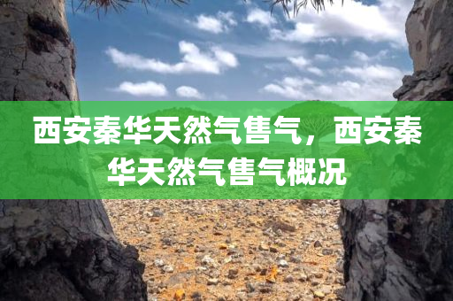 西安秦华天然气售气，西安秦华天然气售气概况