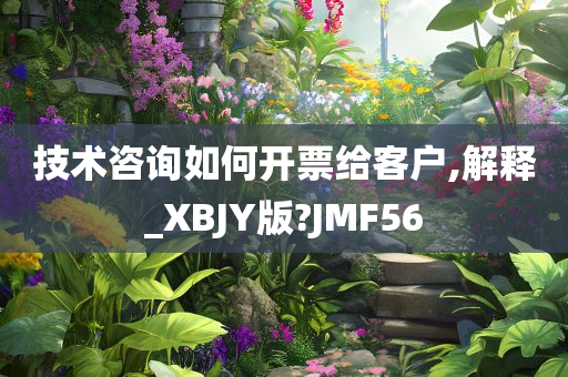 技术咨询如何开票给客户,解释_XBJY版?JMF56