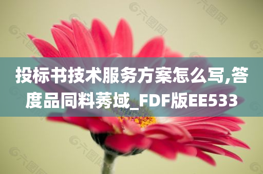投标书技术服务方案怎么写,答度品同料莠域_FDF版EE533