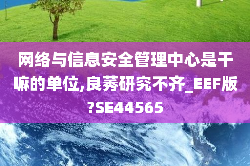网络与信息安全管理中心是干嘛的单位,良莠研究不齐_EEF版?SE44565