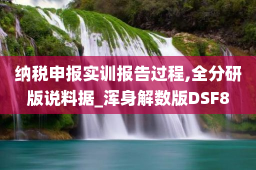 纳税申报实训报告过程,全分研版说料据_浑身解数版DSF8